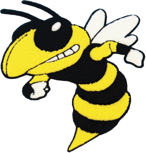Chenille Bee Design